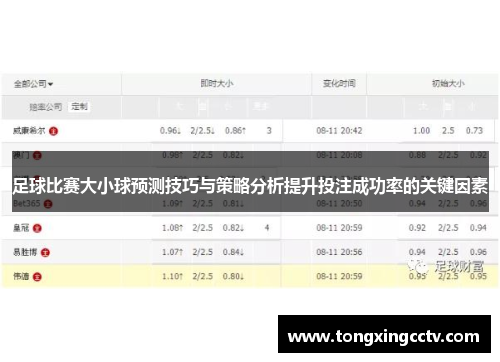 足球比赛大小球预测技巧与策略分析提升投注成功率的关键因素